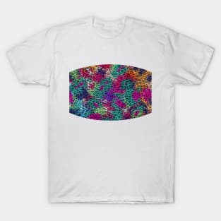 Rainbow Leopard Print T-Shirt